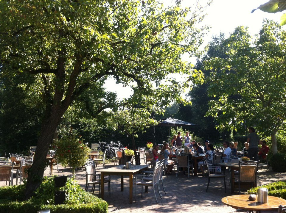 terras 2