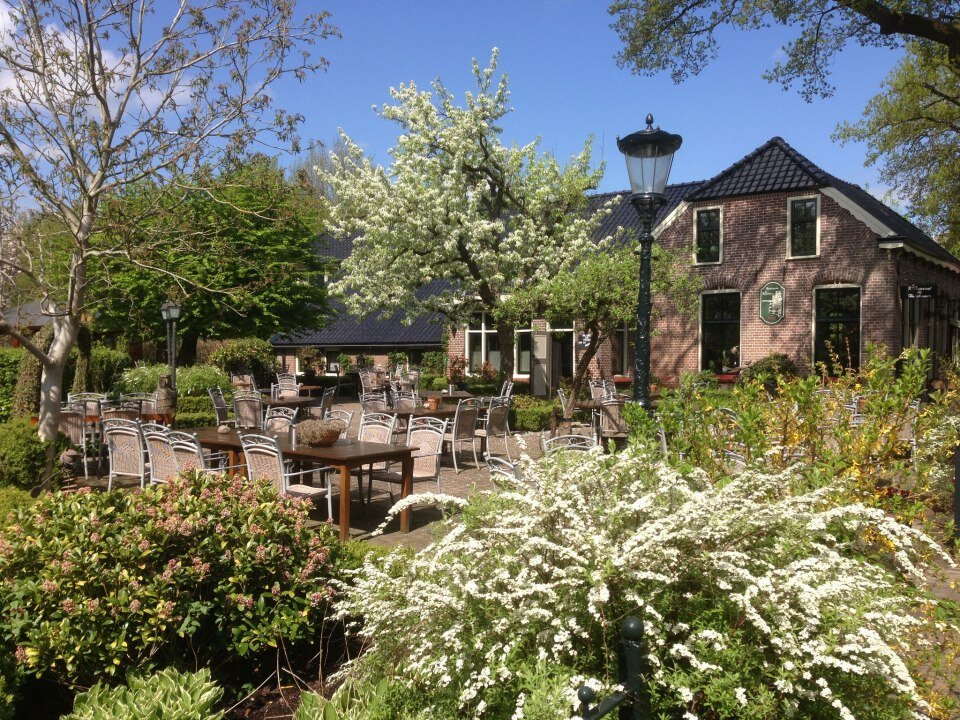 Terras voorjaar